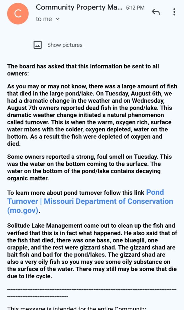 SmartSelect_20240809-172632_Gmail